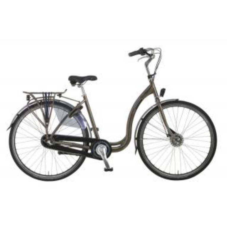 POINTER STEP IN DAMESFIETS POINTER STEP IN DAMESFIETS